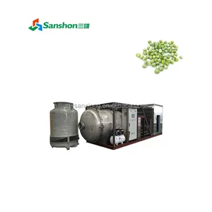 China Lyophilizer Equipment Vacuum Freeze Dryer Machine for Foods