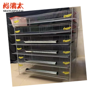 Commercio all'ingrosso nuovo stato H-tipo gabbie di quaglia uso domestico uccello di produzione di uova di materiale plastico <span class=keywords><strong>per</strong></span> gabbie <span class=keywords><strong>per</strong></span> animali da allevamento di polli - Product Image 1