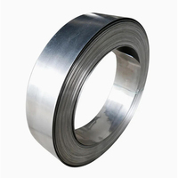 Bande en acier inoxydable 201 202 304 304L 316 316L 410 420 430 pour l'industrie de la construction