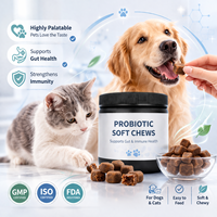 Probiotiques et prébiotiques pour animaux de compagnie, granulés moelleux à mâcher pour chats et chiens, complément nutritionnel pour la santé digestive et immunitaire, OEM personnalisé