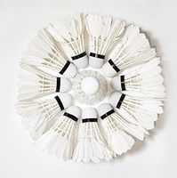 Volants de badminton professionnels en plastique mousseux et plumes de canard pour l'intérieur et l'extérieur, entraînement, tennis de table, en vrac, durables, vente en gros
