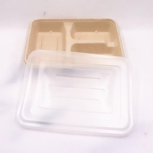 <span class=keywords><strong>Platos</strong></span> desechables de 3 compartimentos respetuosos con el medio ambiente personalizados, bandejas para servir alimentos de pulpa de bambú biodegradables, <span class=keywords><strong>platos</strong></span> - Product Image 2