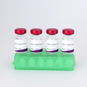 Suero HI <span class=keywords><strong>positivo</strong></span> para Avibacterium paragallinarum tipo C | Detección de patógenos avícolas - Product Image 4