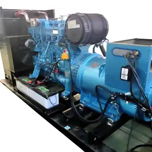 High quality 250KW LPG gas generator set equipment methane gas turbine generators for sale