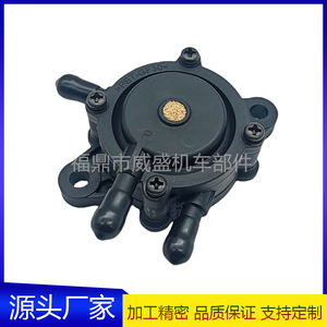 Pompe à carburant 491922 691034 692313 808492 808656, accessoires de moto pour pièces de moteur Briggs Stratton - Product Image 5