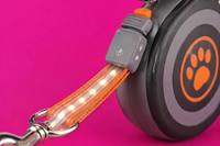 Laisse rétractable automatique pour chien avec barre lumineuse LED intégrée, sangle réfléchissante et contrôle de frein pour promenades nocturnes et voyages avec les chiens