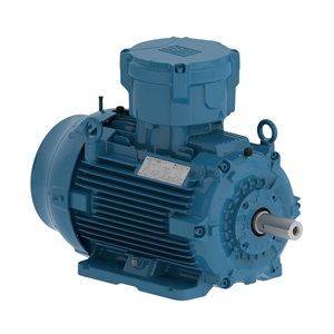 Baru dan asli W21 4P 2HP 220V 380V 60HZ tiga garis saham Motor cuci gudang dari Wegs - Product Image 2