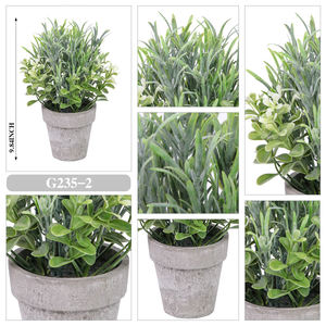 RUOPEI Plante Artificielle Mini en Pot, Mélange <span class=keywords><strong>de</strong></span> Feuillage <span class=keywords><strong>de</strong></span> Buis et Lavande, Résistante aux UV, Écologique et Durable, pour Maison et Bureau - Product Image 3