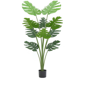 GB Factory Supply <span class=keywords><strong>Plantas</strong></span> artificiales <span class=keywords><strong>de</strong></span> interior Helecho Planta en maceta Decoración del hogar en variedad <span class=keywords><strong>de</strong></span> estilos y tamaños Hecho <span class=keywords><strong>de</strong></span> plástico duradero - Product Image 3