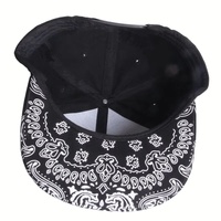 Casquettes de baseball à visière plate en coton 100% personnalisées avec broderie de logo de feuille, de haute qualité, 6 panneaux, impression de votre logo, vente en gros