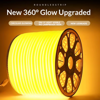 360 °   Bande lumineuse LED néon ronde, flexible et étanche pour l'éclairage extérieur et les projets d'ingénierie