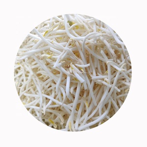 Giá Nhà Sản Xuất Bán Buôn Iqf Đậu Xanh Đông Lạnh Rau Củ Đậu Xanh - Product Image 1