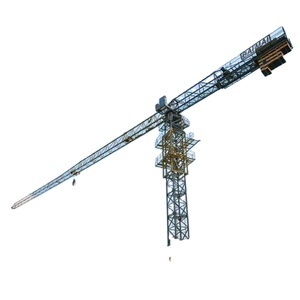 Grúa Torre de Plataforma Plana de 8 Toneladas - Product Image 1