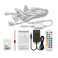 Guirlandes lumineuses intelligentes pour avant-toits, éclairage extérieur permanent RGB IC, étanches, décorations de fêtes, commande par application intelligente, guirlandes lumineuses LED pour les avant-toits de la maison