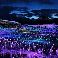 Fibre Optique Fleur Reed Lumières Nouveau Jardin Cour Parc Décoration Fibre Optique Lumière