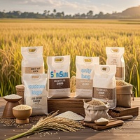 Sac Brique en Plastique à Impression Personnalisée pour Grains et Riz, 1Kg, 2Kg, 5Kg, 10Kg, avec Poignée, Emballage Sous Vide