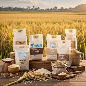 Sac Brique en Plastique à Impression Personnalisée pour Grains et Riz, 1Kg, 2Kg, 5Kg, 10Kg, avec Poignée, Emballage Sous Vide - Product Image 3