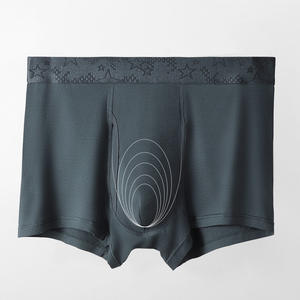 2025 का नया मॉडल नायलॉन बैंड ठोस पुरुषों के बॉक्सर अंडरवियर खुले मक्खी के साथ पुरुषों के लिए बॉक्सर अंडरवियर - Product Image 4