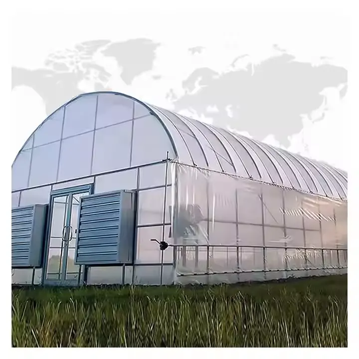 Большая прочная стальная сельскохозяйственная теплица с пленкой, современный дизайн для наружного применения
