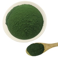 Poudre de spiruline de qualité supérieure, séchée par pulvérisation, riche en protéines, fournie directement par l'usine