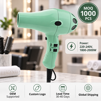 Sèche-cheveux professionnel à moteur AC, 2 vitesses, 3 températures, fonction air froid, deux concentrateurs, grand diffuseur en option pour coiffure en salon