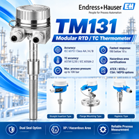 Sensor Suhu Industri E+H TM131 Anti Ledakan RTD Thermocouple untuk Minyak dan Gas