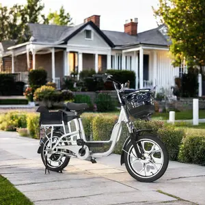 वयस्कों के लिए सबसे सस्ती एक व्यक्ति लोकप्रिय नई फैशनेबल शहर की सस्ती इलेक्ट्रिक बाइक 60V साइकिल