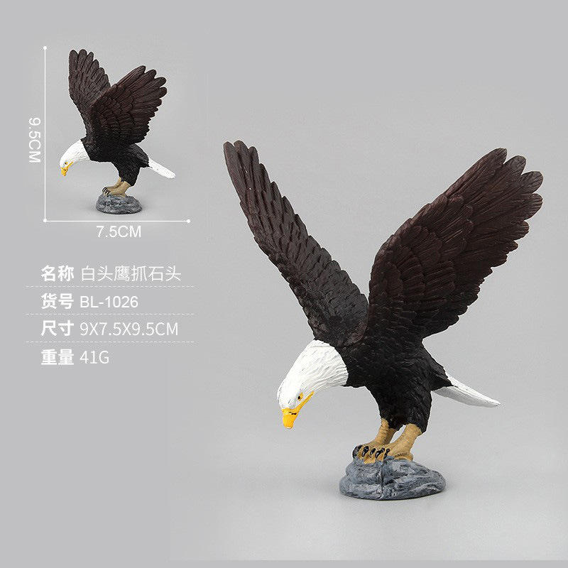 BL-1026 Bald Eagles catch rocks 41g