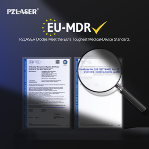 PZLASER Machine <span class=keywords><strong>laser</strong></span> ND YAG Q-Switch portable haute puissance pour le détatouage et le décoloration des sourcils, prise UE - Product Image 4