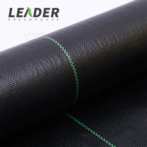 Toile de paillage non tissée traitée anti-UV, noire, blanche, bleue, pour la plantation de <span class=keywords><strong>myrtilles</strong></span> et la couverture du sol - Product Image 2