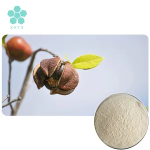 High Quality Camellia Seed Extract Tea Saponin Powder