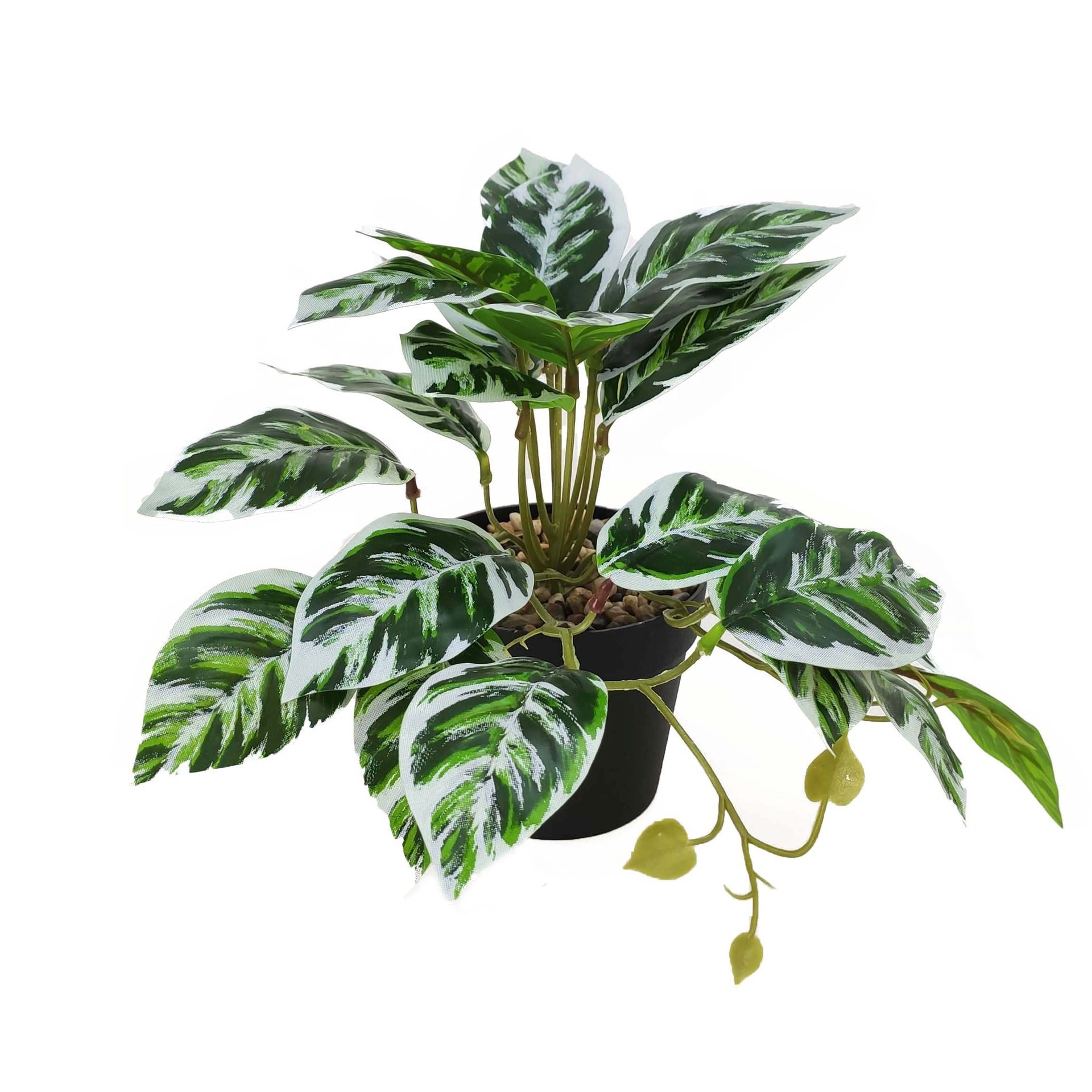 Mini oil painting taro