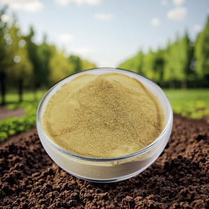 Axit amin canxi nguyên tố vi lượng phân bón nhanh chóng Canxi bổ sung ở dạng bột cho thiếu canxi - Product Image 5