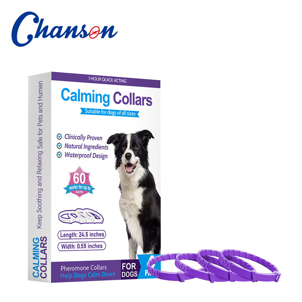 Chien Violet (une boîte de 4 paquets)