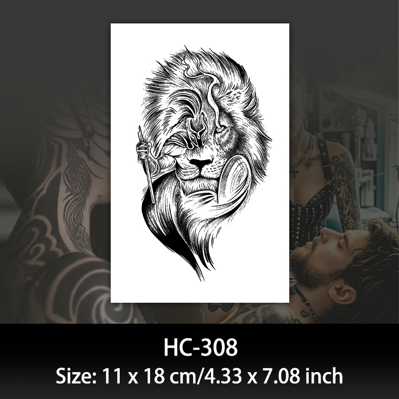 HC308