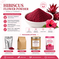 Poudre de fleur d'hibiscus Roselle LongBio 80 Mesh de qualité alimentaire en vrac, ingrédient Hibiscus Sabdariffa pour thé, boisson, smoothie, OEM, ODM