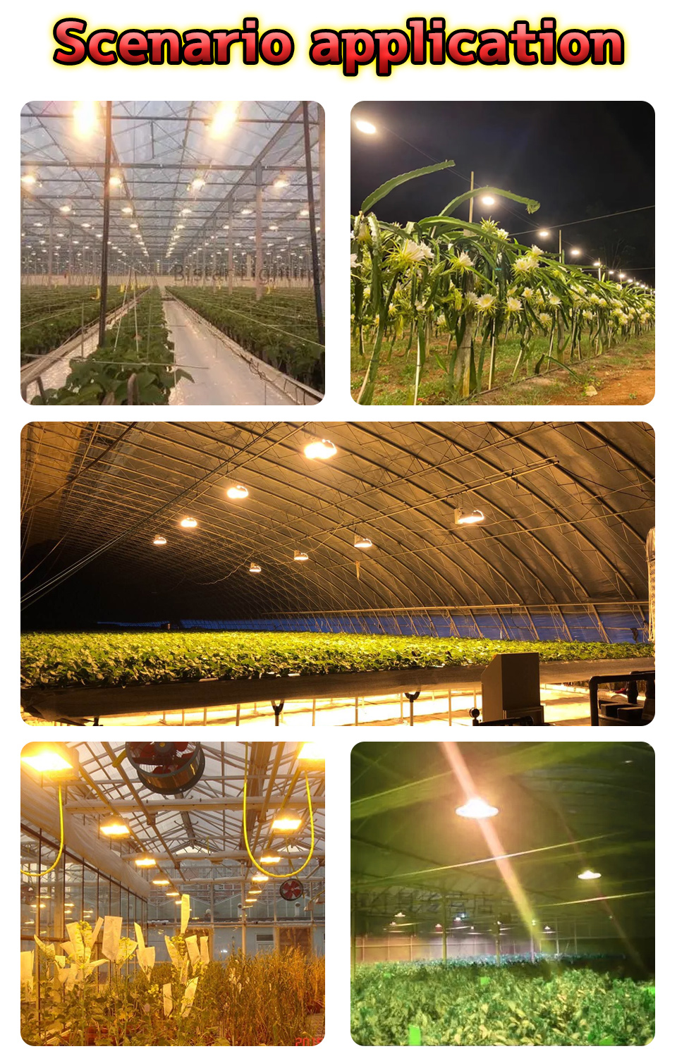 AC 220V 100W High Power Cob LED Chip Unmanned Driving Solderless