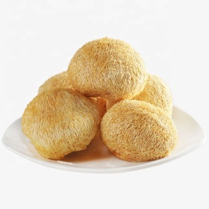 Органический экстракт гриба Hericium Erinaceus Коричневый мелкозернистый порошок фруктовой коры 1 кг 30% - Product Image 2