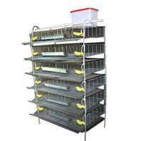 Cage Automatique d'Élevage de Cailles pour la Production d'Œufs – Cages à Cailles en Gros