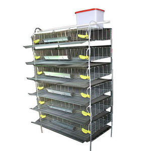 Automatische Kweekkwartelkooi Voor Eierproductie Kwartelkooien Voor Groothandel - Product Image 2