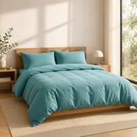 Parure de lit 3 pièces en chanvre 100% format Queen, style moderne, housse de couette confortable et respirante, taies d'oreiller douces pour la peau, pour la maison