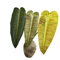 Tanaman hijau buatan plastik sentuhan asli ramah lingkungan lansekap dekorasi daun Monstera phildendron