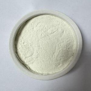 Fourniture de poudre de <span class=keywords><strong>Lactobacillus</strong></span> <span class=keywords><strong>Paracasei</strong></span> lyophilisée de qualité supérieure <span class=keywords><strong>Lactobacillus</strong></span> <span class=keywords><strong>Paracasei</strong></span> - Product Image 3