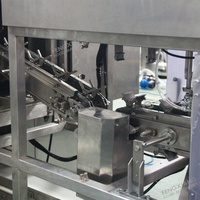 Volledig Automatische Hoge Productiviteit Fruit Ananas Continue Schilmachine 304 RVS CE Gecertificeerd 220V/380V 1 Jaar Garantie
