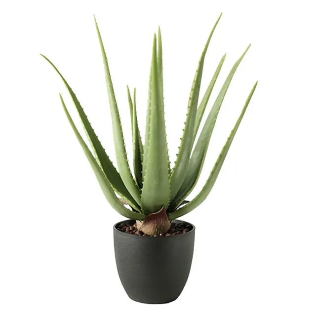 Prezzo a buon mercato pianta falsa all'ingrosso di alta simulazione 45cm di altezza finto vaso verde artificiale Aloe Vera pianta succulenta per la decorazione della casa