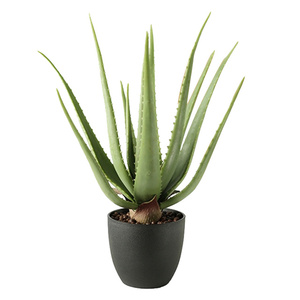 Planta falsa <span class=keywords><strong>de</strong></span> precio barato al por mayor <span class=keywords><strong>de</strong></span> alta simulación <span class=keywords><strong>de</strong></span> 45cm <span class=keywords><strong>de</strong></span> altura, planta suculenta <span class=keywords><strong>de</strong></span> aloe <span class=keywords><strong>vera</strong></span> artificial verde en maceta para decoración del hogar - Product Image 1