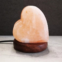 Sel rose de l'Himalaya naturel et biologique, respectueux de l'environnement, forme personnalisée, lampes USB mini modernes, haute qualité, usage quotidien, OEM/ODM, vente en gros