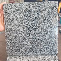 Fabricant de granit domestique moderne, dalle de granit noir sésame naturel G654, finition polie, durable, écologique, découpée sur mesure, pour l'extérieur des bâtiments