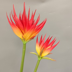 Fleur artificielle Oiseau de paradis en plastique PVC/PU, bouquet pour décoration intérieure et accessoire de photographie, modèle Château des rêves - Product Image 4