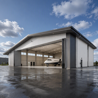 Edificio de Estructura de Acero Prefabricado Resistente a la Intemperie, Hangar de Aviones de Gran Envergadura y Alta Resistencia, Fabricante de Edificios de Aviación
